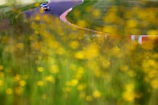 #11 Alex Walker / Blake Angliss - Paddock Motorsport McLaren Artura GT4 
 | SRO/JEP