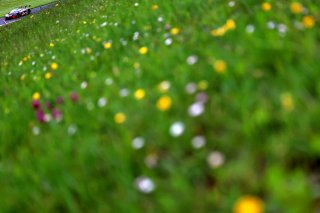 #24 Lucky Khera / Euan Hankey - RACE LAB McLaren 720S GT3 | JEP / SRO 