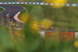 #24 Lucky Khera / Euan Hankey - RACE LAB McLaren 720S GT3  
 | SRO/JEP