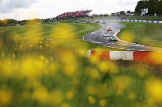 #8 Richard Neary / Sam Neary - Team Abba Racing Mercedes-AMG GT3 Evo 
 | SRO/JEP