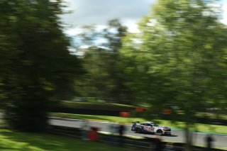 #62 Will Moore / Matt Nicoll-Jones - Academy Motorsport Ltd Ford Mustang GT4 2024
 | SRO / JEP