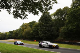#65 Chris Salkeld / Nathan Freke - Century Motorsport BMW M4 GT4
 | SRO / JEP