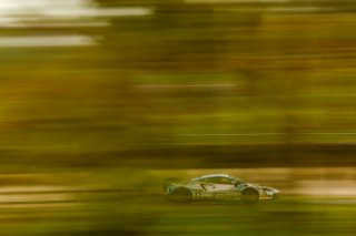 #17 - Harry George / Luca Hopkinson - Optimum Motorsport McLaren Artura GT4
 | SRO / JEP