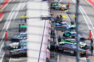 British GT Championship Brands Hatch
 | SRO / JEP