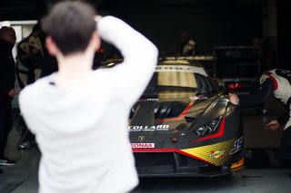 Fans at the Pit Walk, Fans at the Grid Walk
 | SRO / JEP