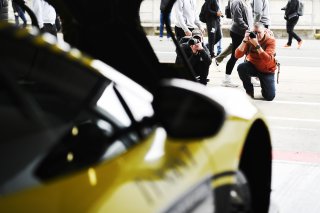Fans at the Pit Walk, Fans at the Grid Walk
 | SRO / JEP