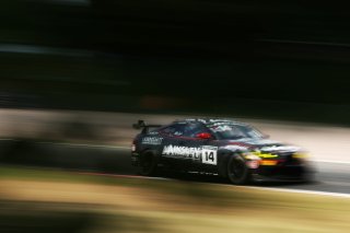#14 - Branden Templeton / Chris Salkeld - Century Motorsport BMW M4 GT4
 | SRO / JEP
