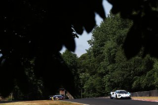 #17 - Harry George / Luca Hopkinson - Optimum Motorsport McLaren Artura GT4
 | SRO / JEP