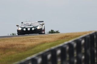 #55 - Duncan Cameron / Matt Griffin - Spirit of Race SA Ferrari 296 GT3 | SRO / JEP