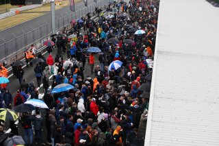 Autograph session and pit walk
 | SRO / JEP