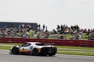 #28 - Marcos Vivian / Francesco Castellicci - Spirit of Race SA Ferrari 296 GT3 
 | SRO / JEP