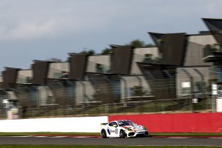 #41 - Jamie Orton / Will Burns - Rob Boston Racing Porsche 718 Cayman GT4 RS CS
 | SRO / JEP