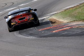 #42 - Luke Shaw / Jack Mitchell - Toro Verde GT - Ginetta G56 GT4 Evo | SRO / JEP