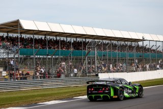 #74 - Thomas Holland / Hadley Simpson - Innovation Racing - Ginetta G56 GT4 Evo | SRO / JEP