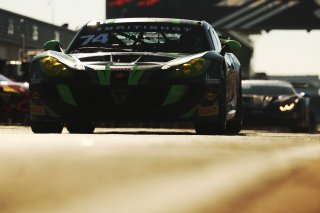#74 - Thomas Holland / Hadley Simpson - Innovation Racing - Ginetta G56 GT4 Evo | SRO / JEP