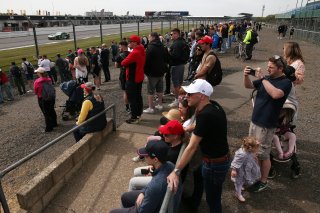 #74 - Thomas Holland / Hadley Simpson - Innovation Racing - Ginetta G56 GT4 Evo
 | SRO / JEP