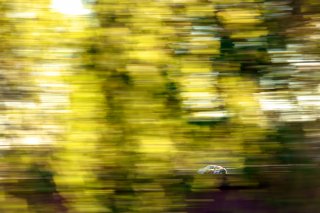 #8 - Ian Duggan / Tom Bradshaw - Toro Verde GT - Porsche 718 Cayman GT4 RS CS
 | JEP \ SRO