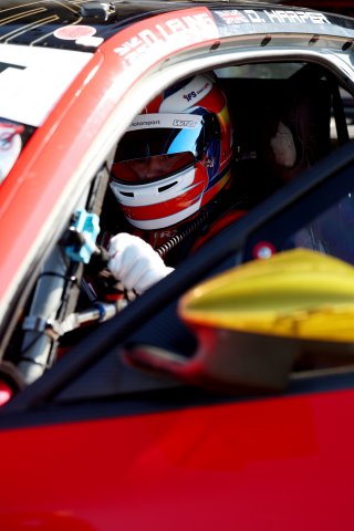 #91 - Dan Harper - Paradine Competition - BMW M4 GT3 Evo | SRO / JEP