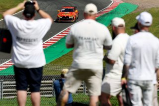 #24 - Jack Collins / Branden Templeton - Century Motorsport - BMW M4 GT4 Evo
 | SRO / JEP