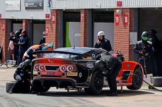 #42 - Luke Shaw / Jack Mitchell - Toro Verde GT - Ginetta G56 GT4 Evo
 | SRO / JEP