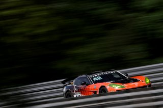 #42 - Luke Shaw / Jack Mitchell - Toro Verde GT - Ginetta G56 GT4 Evo | SRO / JEP
