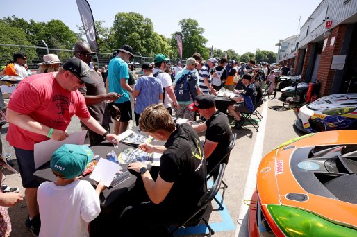 #42 - Luke Shaw / Jack Mitchell - Toro Verde GT - Ginetta G56 GT4 Evo | SRO / JEP