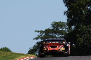 #42 - Luke Shaw / Jack Mitchell - Toro Verde GT - Ginetta G56 GT4 Evo
 | SRO / JEP