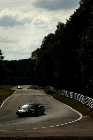 #84 - Revie Lake / Blake Angliss - Mahiki Racing - McLaren Artura GT4 | SRO / JEP