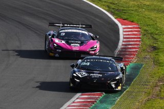 #84 - Revie Lake / Blake Angliss - Mahiki Racing - McLaren Artura GT4
 | SRO / JEP