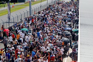 Pit walk and autograph session
 | SRO / JEP