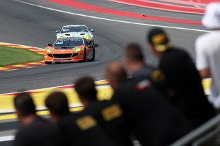 #42 - Luke Shaw / Jack Mitchell - Toro Verde GT - Ginetta G56 GT4 Evo | SRO \ JEP