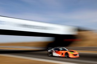 #42 - Luke Shaw / Jack Mitchell - Toro Verde GT - Ginetta G56 GT4 Evo | SRO / JEP
