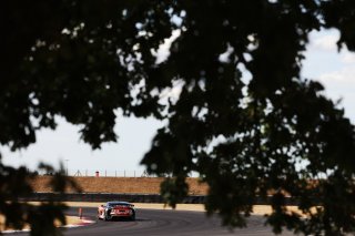 #42 - Luke Shaw / Jack Mitchell - Toro Verde GT - Ginetta G56 GT4 Evo | SRO / JEP