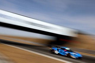 #84 - Revie Lake / Blake Angliss - Paddock Motorsport - McLaren Artura GT4 | SRO / JEP