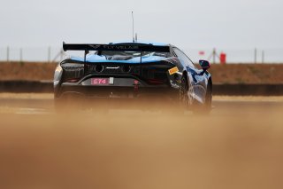 #84 - Revie Lake / Blake Angliss - Paddock Motorsport - McLaren Artura GT4 | SRO / JEP