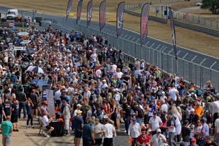 Pit walk and autograph session | SRO / JEP