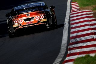 #42 - Toro Verde GT - Luke SHAW - Jack MITCHELL - Ginetta G56 GT4 EVO | SRO / JEP