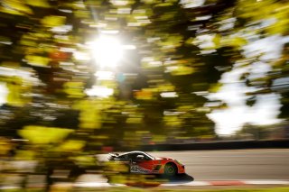 #42 - Toro Verde GT - Luke SHAW - Jack MITCHELL - Ginetta G56 GT4 EVO | SRO / JEP