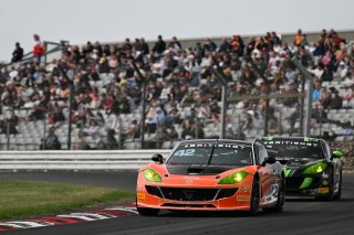 #42 - Toro Verde GT - Luke SHAW - Jack MITCHELL - Ginetta G56 GT4 EVO | SRO / JEP
