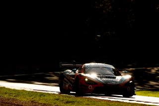#77 - Optimum Motorsport - Morgan TILLBROOK - Ben BARNICOAT - McLaren 720S GT3 EVO | SRO / JEP