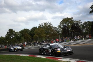 #9 - Paddock Motorsport - Mark SMITH - Martin PLOWMAN - Porsche 911 GT3 R (992) | SRO / JEP