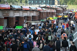 Fans at Brands Hatch | SRO / JEP