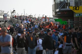 Fans at Brands Hatch | SRO / JEP